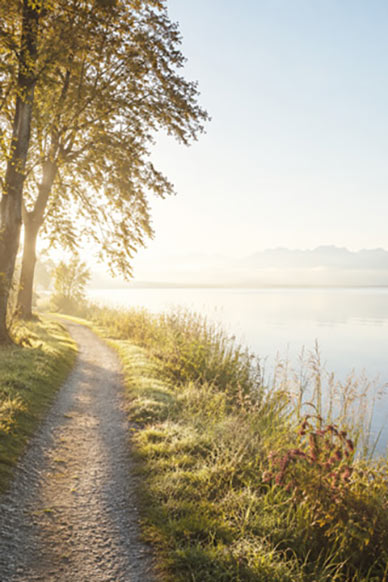 Clarity Workshop für mehr Sicherheit